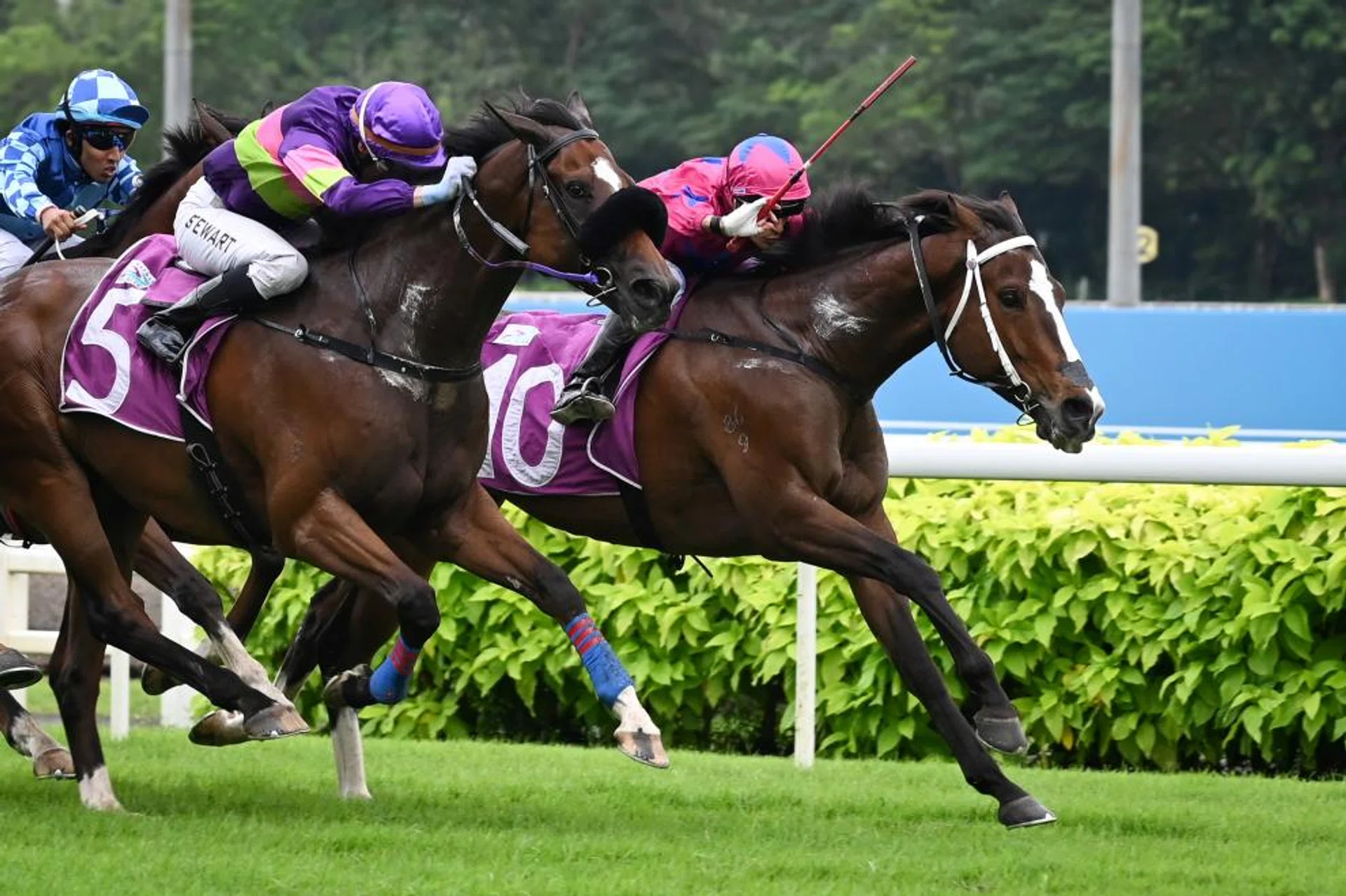 EW Barker Trophy rivals Bestseller (Carlos Henrique, No. 10), Street Of Dreams (Ronnie Stewart) running 1-2 in March 9's Committee's Prize.