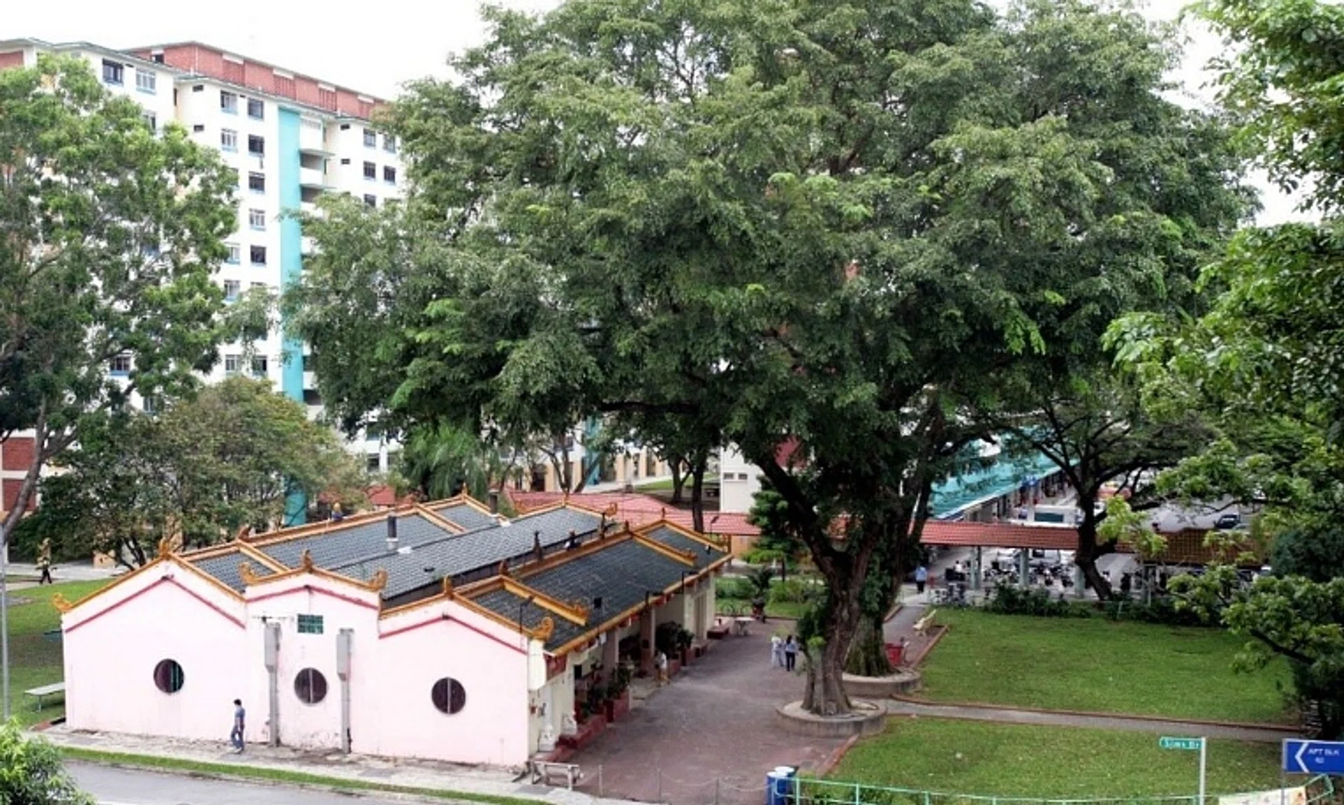 The Mun San Fook Tuck Chee Temple in Sims Drive has a pair of Angsana trees at its entrance that are thought to be at least a century old.