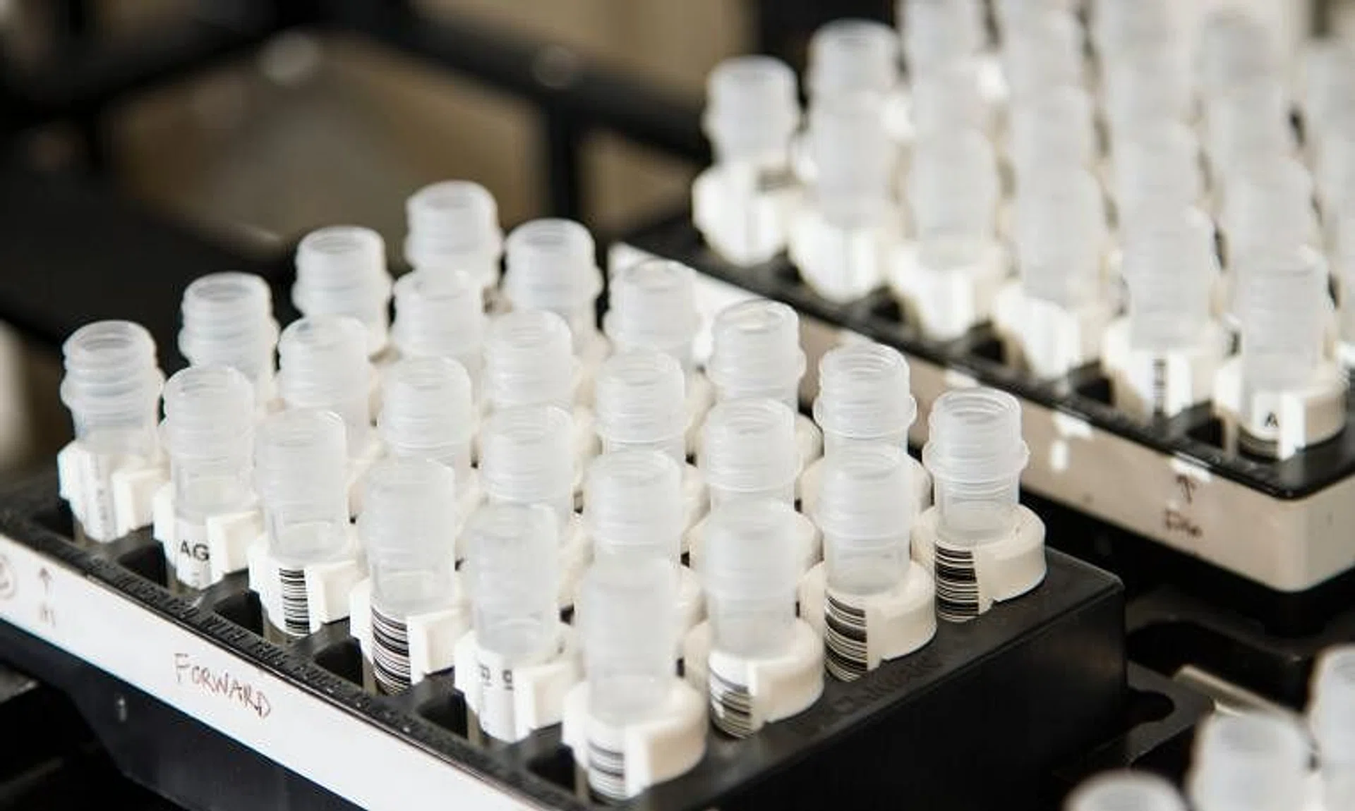 The woman’s desire to conceive a child via a surrogate faced a significant legal hurdle, as the posthumous use of reproductive tissue is prohibited in Western Australia.