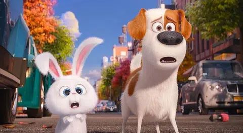 Move over Dory, these new pets are in town