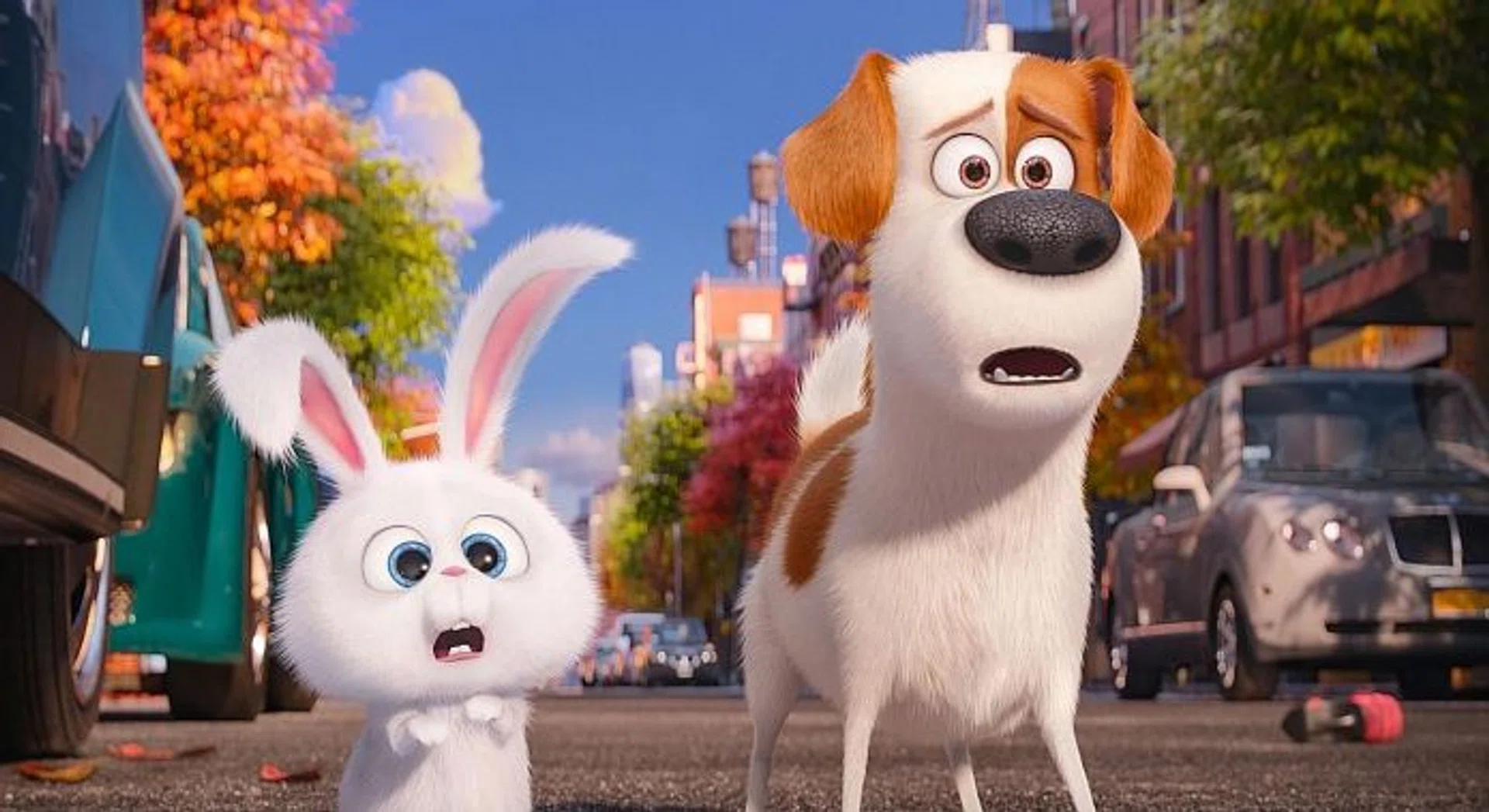 The Secret Life Of Pets. 
