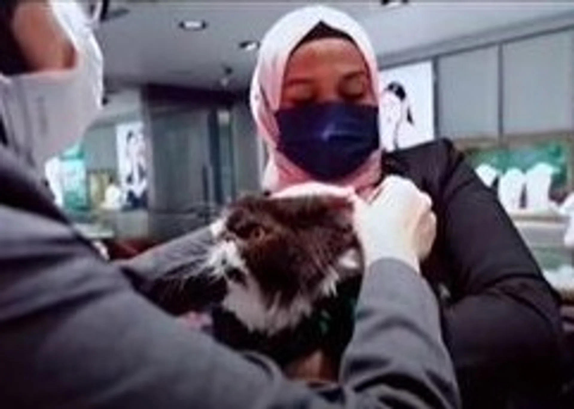 Money the cat gets her $8,400 gold necklace in a KL jewellery shop.
