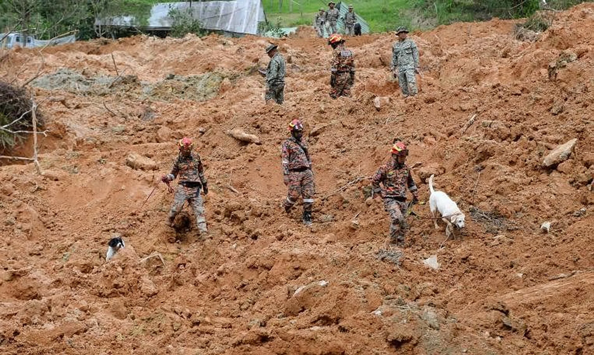 Search and rescue personnel with K-9 search dogs at the landslide site in Batang Kali, Selangor.