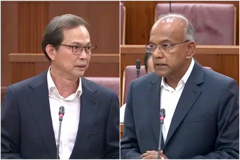 K. Shanmugam calls Leong Mun Wai's past comments racist