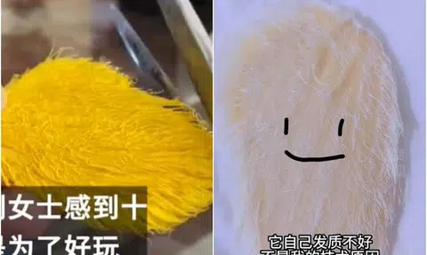 Unusual hobby: Young people in China 'rear' mango pits as 'pets'