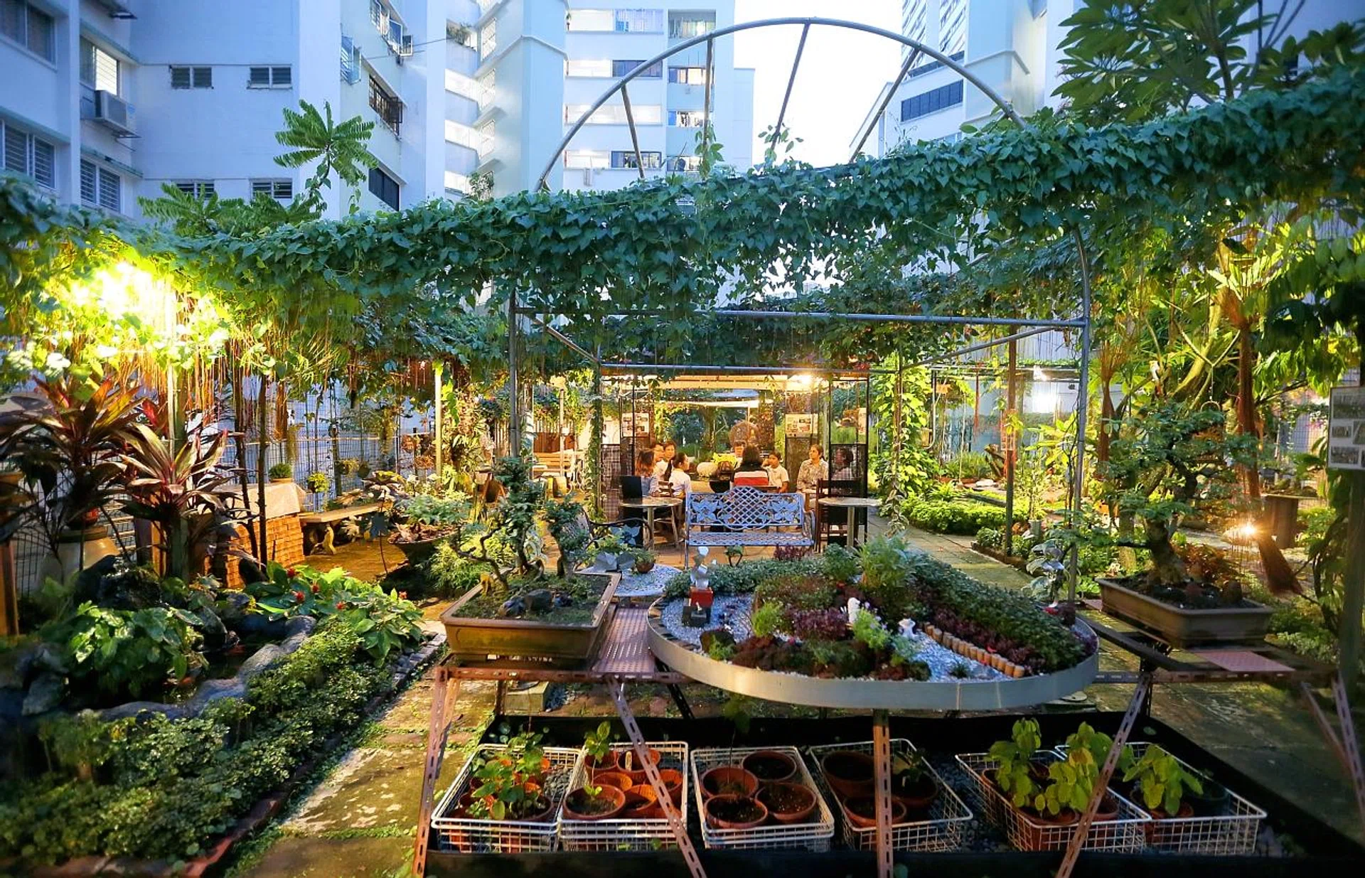Researchers found that the gardeners were eating, on average, one more fruit or vegetable serving per day. 