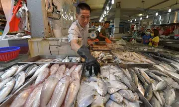 Blame bad weather, rising labour and fuel costs for higher fish prices