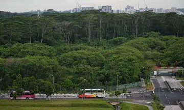 Delay in projects to transform Lim Chu Kang into food hub