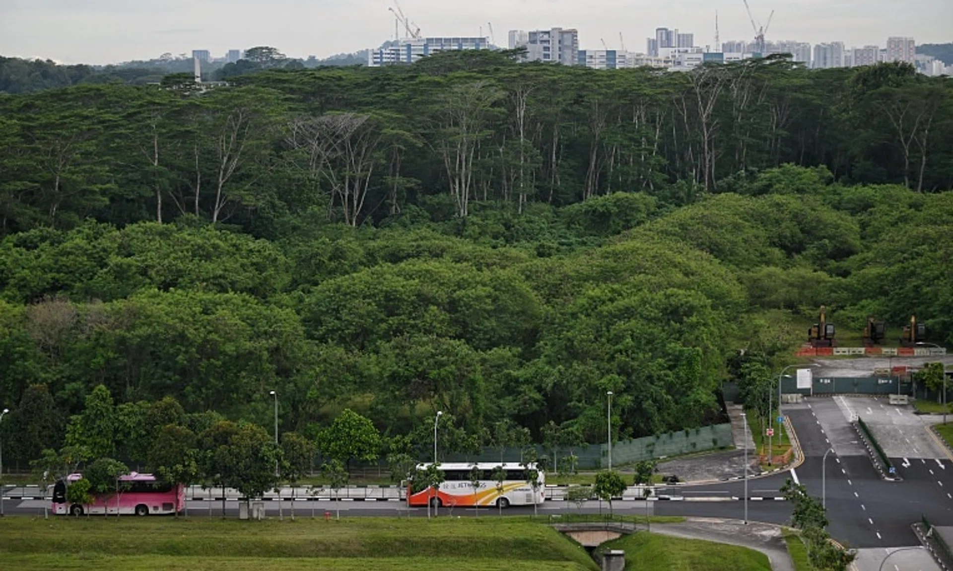 The site of the Kranji woodland that was cleared by mistake in 2020 and 2021, in a photo taken on Oct 1, 2024.