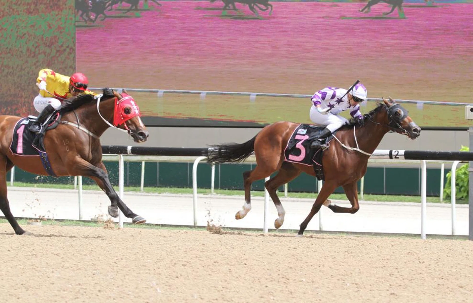 Jockey Vlad Duric steering Makkem Lad to victory in Race 3 to open trainer Donna Logan's 2019 winning account at Kranji yesterday. 