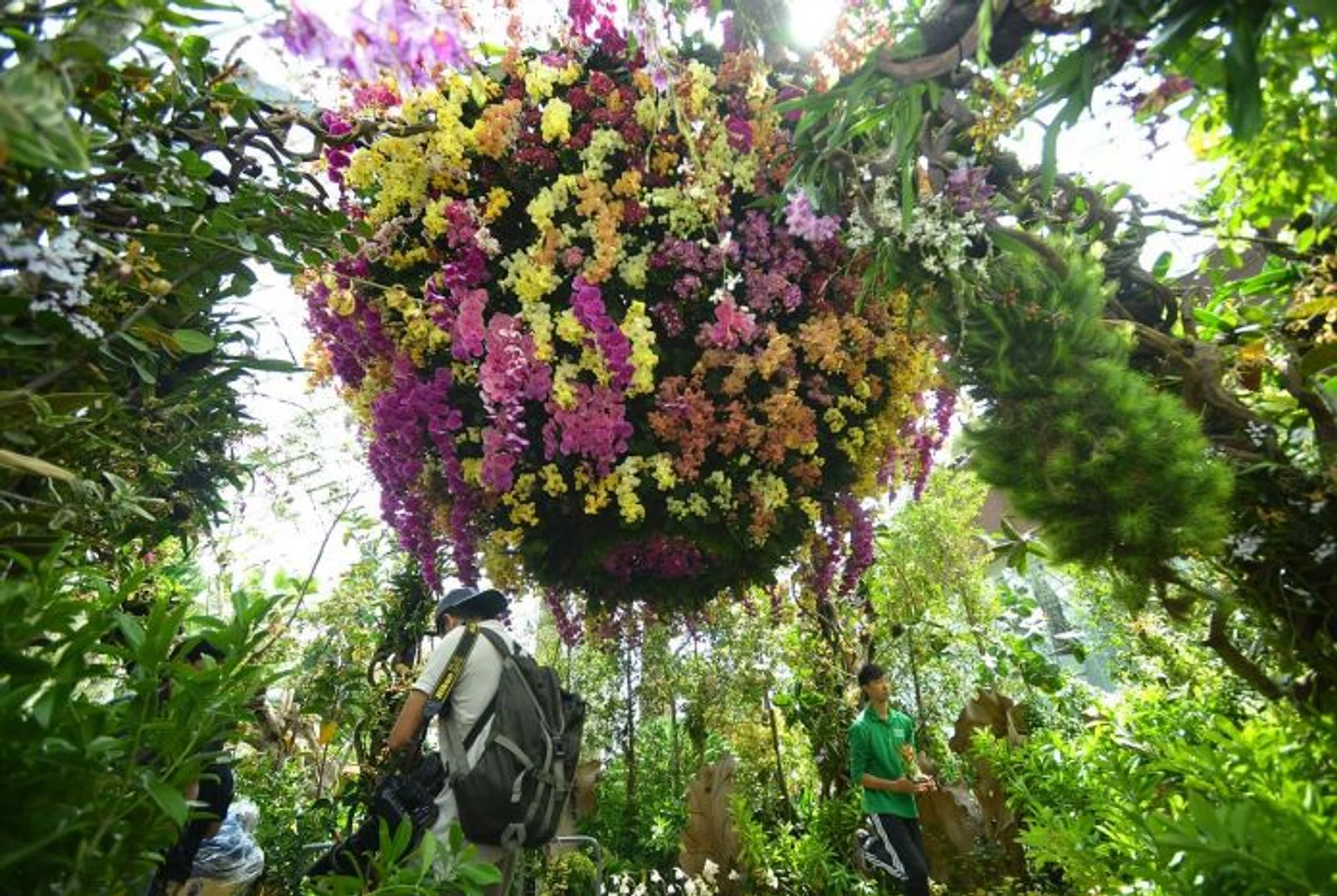 PRIMATE PLANT: A spiral of 1,000 orchids.