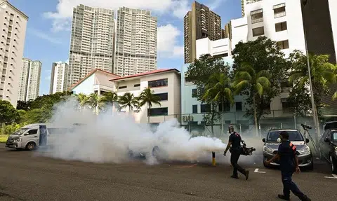 270 cases of dengue reported from June 11 to 17; Toa Payoh cluster grows to 139 cases