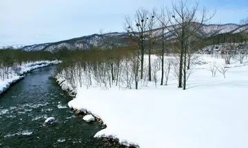 Snowboarder discovers dead woman's leg sticking out under the snow at Hokkaido ski resort