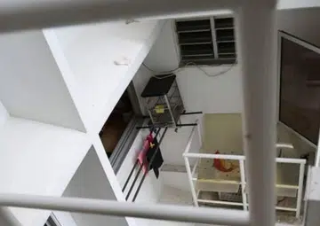 Neighbour's noisy parrot ruffles Sengkang resident