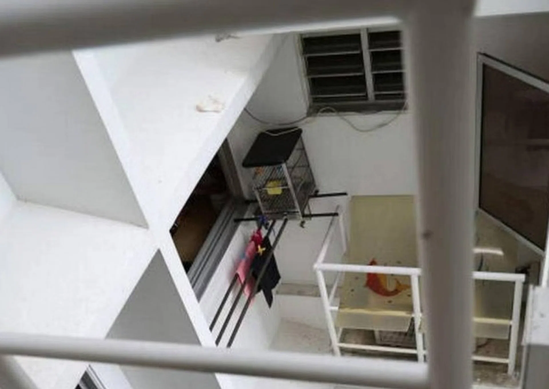 The Sengkang resident said he was unable to rest because of the noise from his neighbour’s parrot, which is perched below his flat.