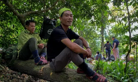 Illegal loggers in Vietnam train as jungle tour guides