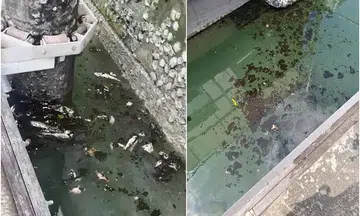 NEA advises against water sports, fishing in Raffles Marina after high levels of oil and grease found