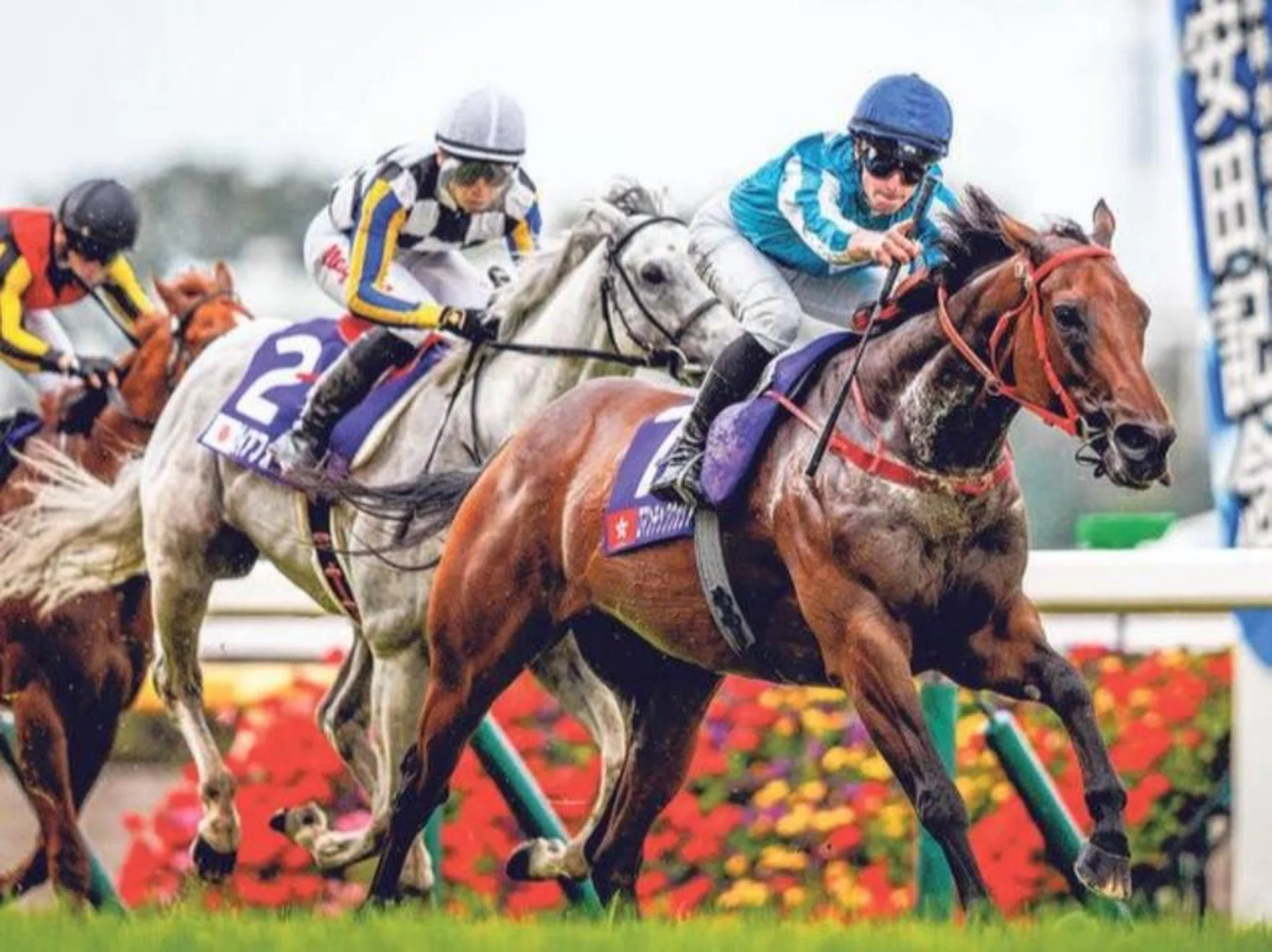 Romantic Warrior winning the Group 1 Yasuda Kinen (1,600m) in Tokyo on June 2. James McDonald was up and will reunite with the Hong Kong champion to contest the Group 2 BOCHK Jockey Club Cup (2,000m) at Sha Tin on Nov 17.
