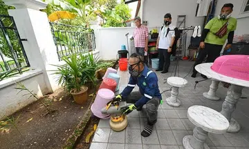 Warmer weather towards year-end could worsen dengue situation: NEA