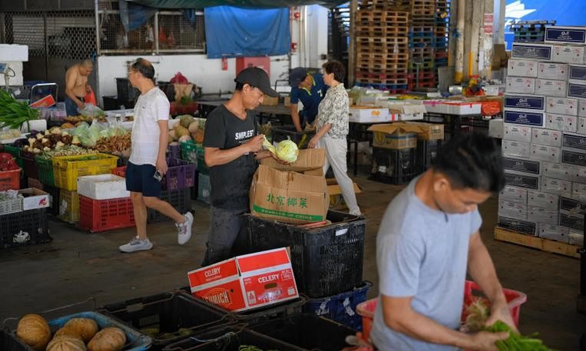 There are about 600 shops and stalls at the wholesale the Pasir Panjang Wholesale Centre.