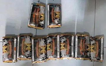 CNB nabs 2 suspects, seizes 1.2kg of 'mushroom'
