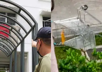 Glass, used diapers... and a trolley? Punggol residents plagued by high-rise littering
