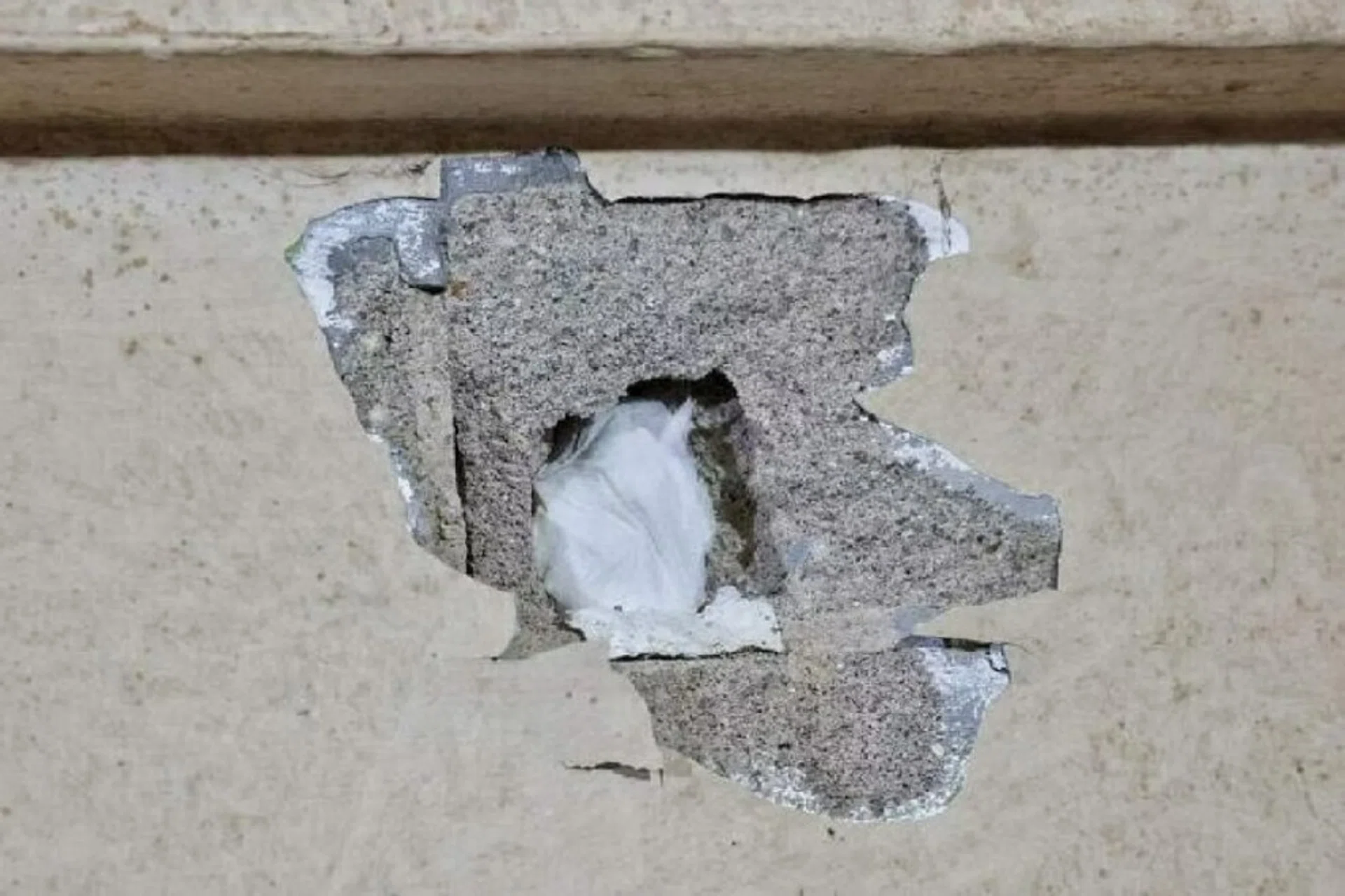 The couple claim the persistent knocking has left a large hole in the living room wall.
