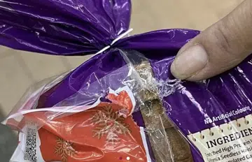 Bukit Batok grocers lose goods to rat infestation