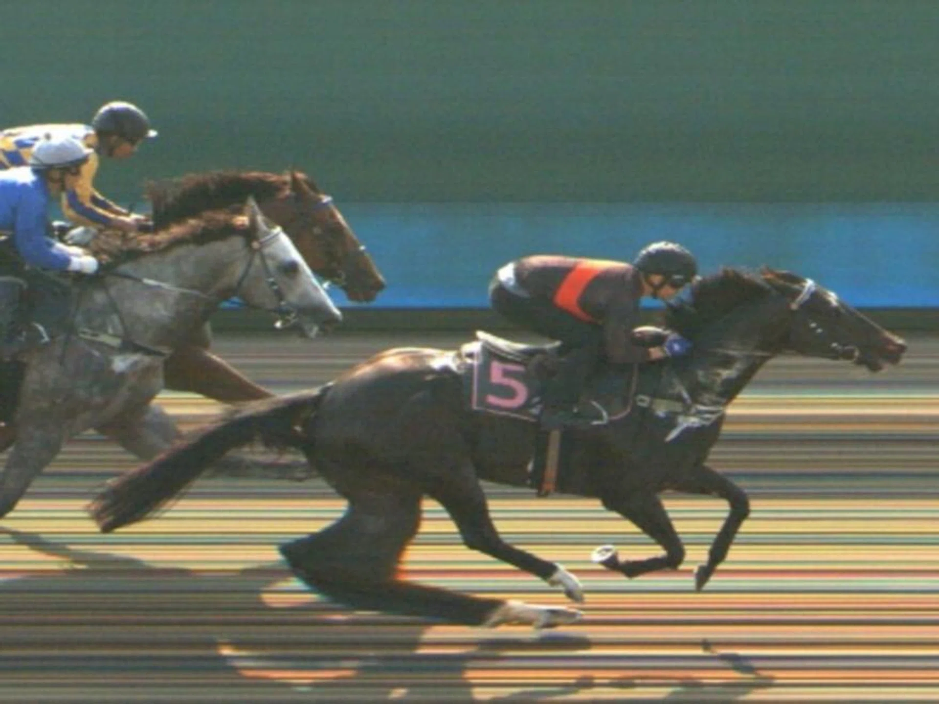 Ace Of Diamonds (Vlad Duric) finishing the best on the outside to beat Laksana (A'Isisuhairi Kasim) and unraced grey Boardroom (Bruno Queiroz) at the Jan 23 barrier trials.
