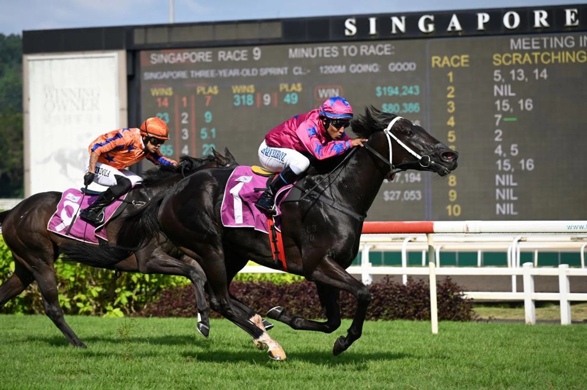 Ace Of Diamonds (Bruno Queiroz) scoring an easy win from outsider Artillery (Vitor Espindola) in the Group 3 Singapore Three-Year-Old Sprint (1,200m) at Kranji on April 6. Trainer Ricardo Le Grange is confident the 1,400m of the Group 2 Singapore Three-Year-Old Classic will suit his charge even better.