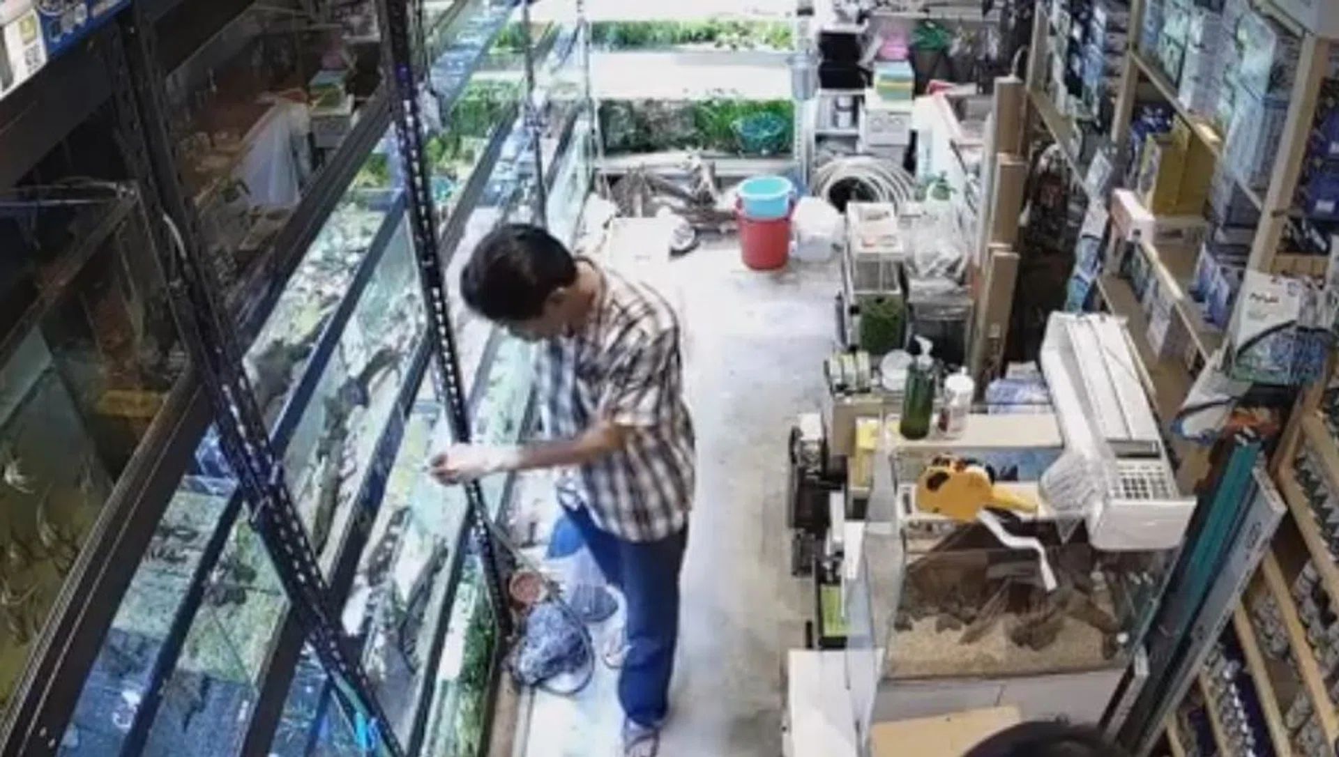The shop’s CCTV footage showing a man throwing something into a tank of fish. 