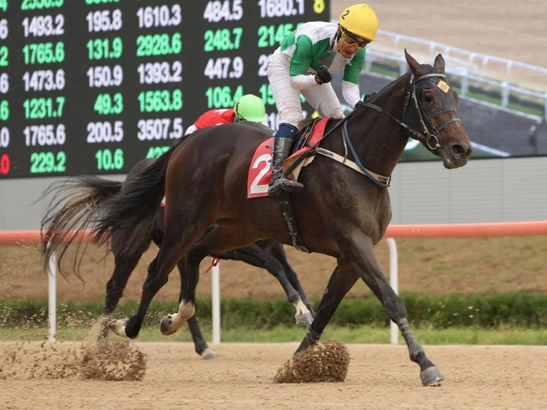 Leading Seoul jockey Moon Se-young, who just lost his father, showing his delight as he steers the Luigi Riccardi-trained Wonderful Slew to victory in the Group 3 Gyeongnam Governor’s Cup (2,000m) at Busan Racecourse on Oct 20. 
