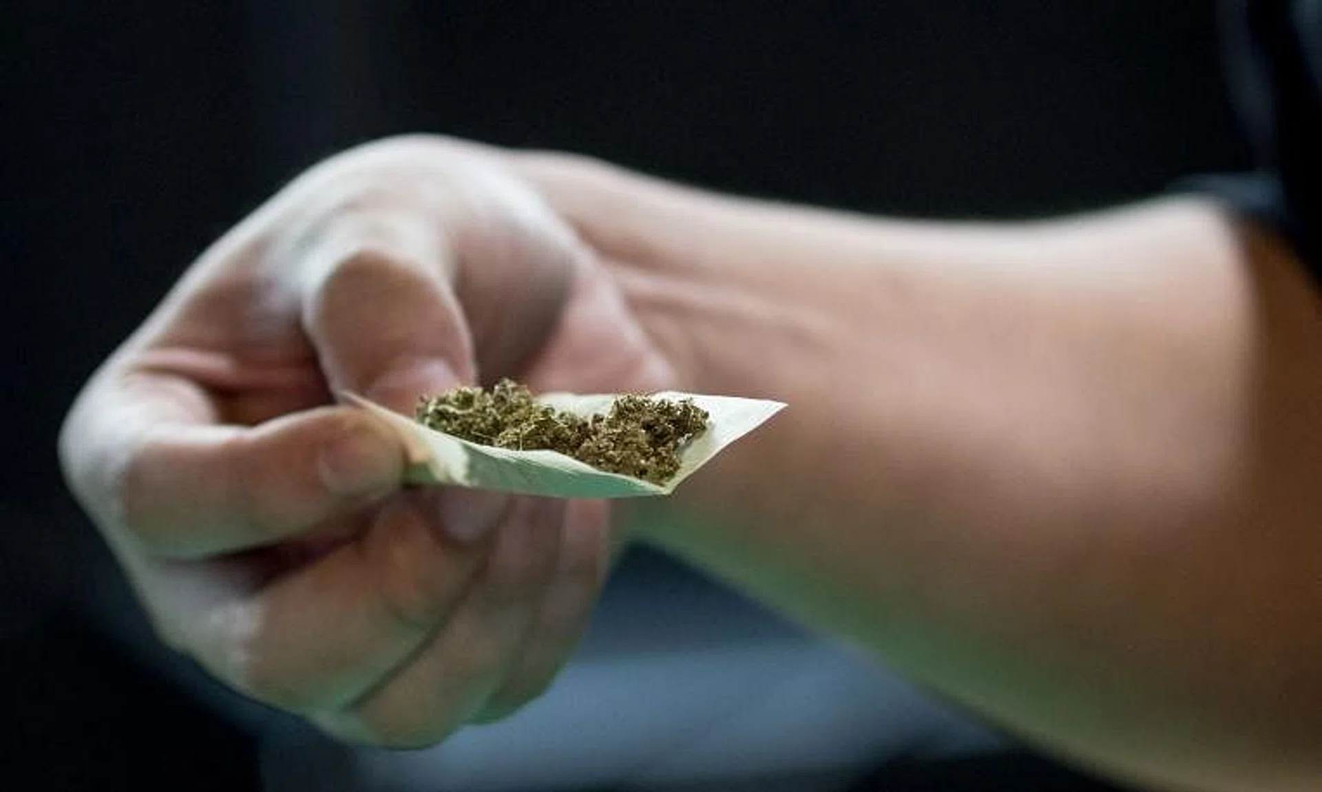 The Central Narcotics Bureau said cannabis seized in 2022 hit 133.25kg, up from 107.08kg the previous year.