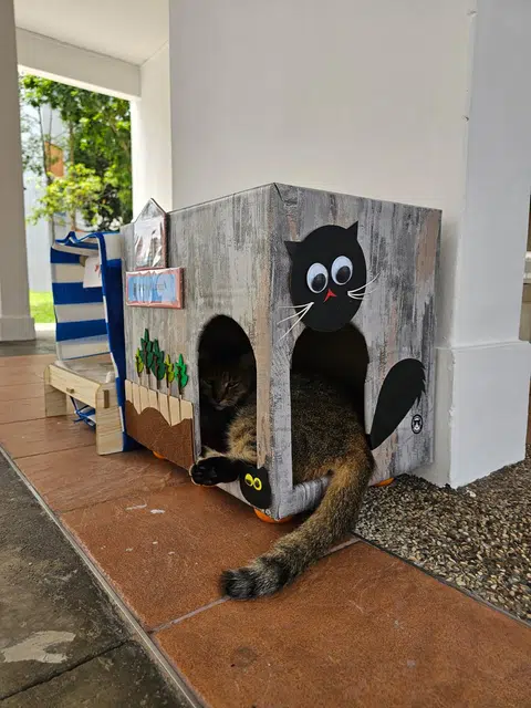 The round legs add some elevation to the cottages, helping to prevent them from getting wet on rainy days.