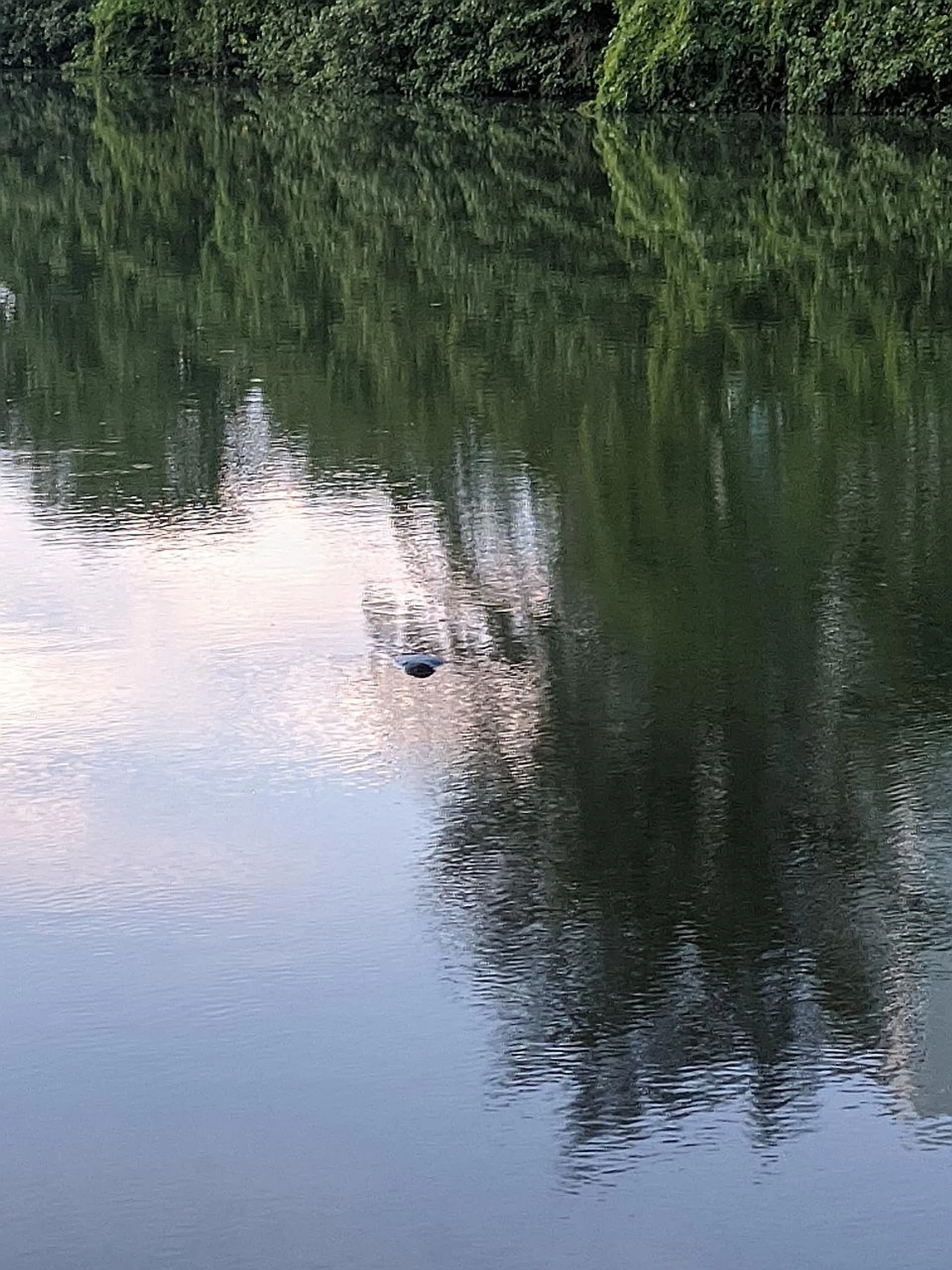 The man found floating in Sengkang canal was pronounced dead at the scene. 