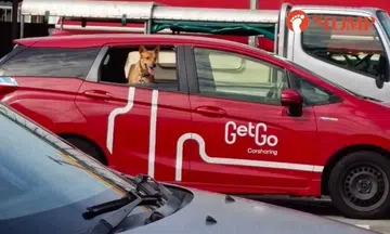 Dog spotted in GetGo car