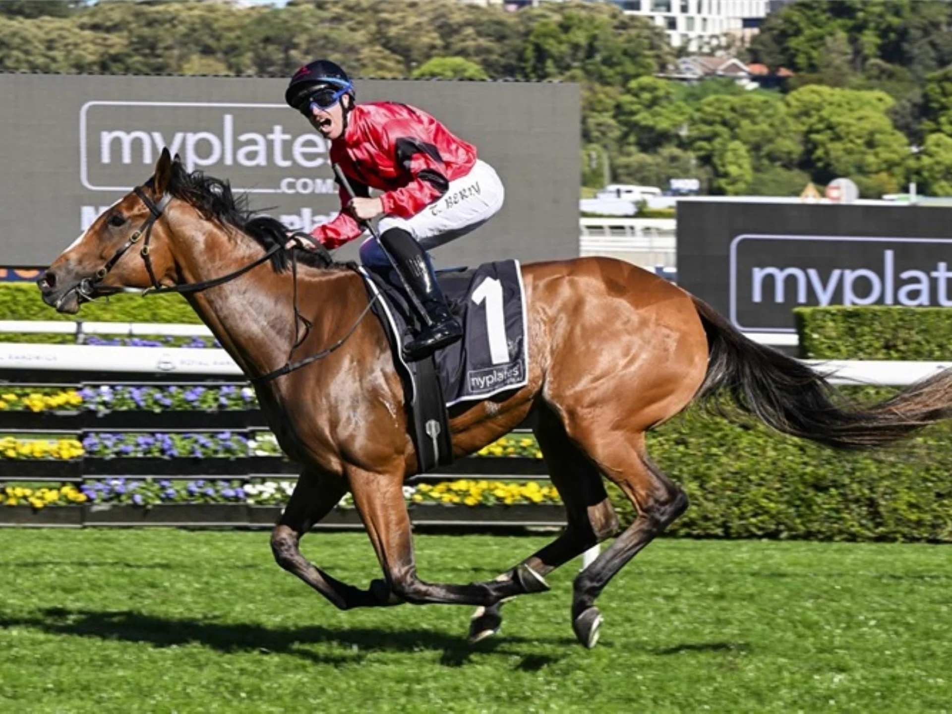 Jockey Tommy Berry celebrating after Apocalyptic takes out the Group 1 Flight Stakes (1,600m) at Randwick on Oct 4.