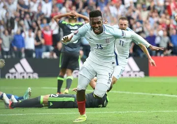 Hodgson relying on blind luck, says Neil Humphreys