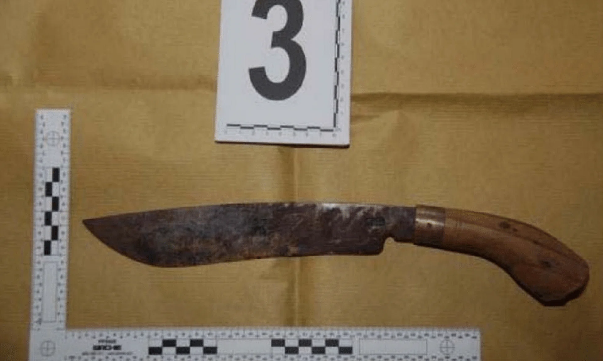 The parang that Lim Song Chua used to slash his girlfriend in December 2020.