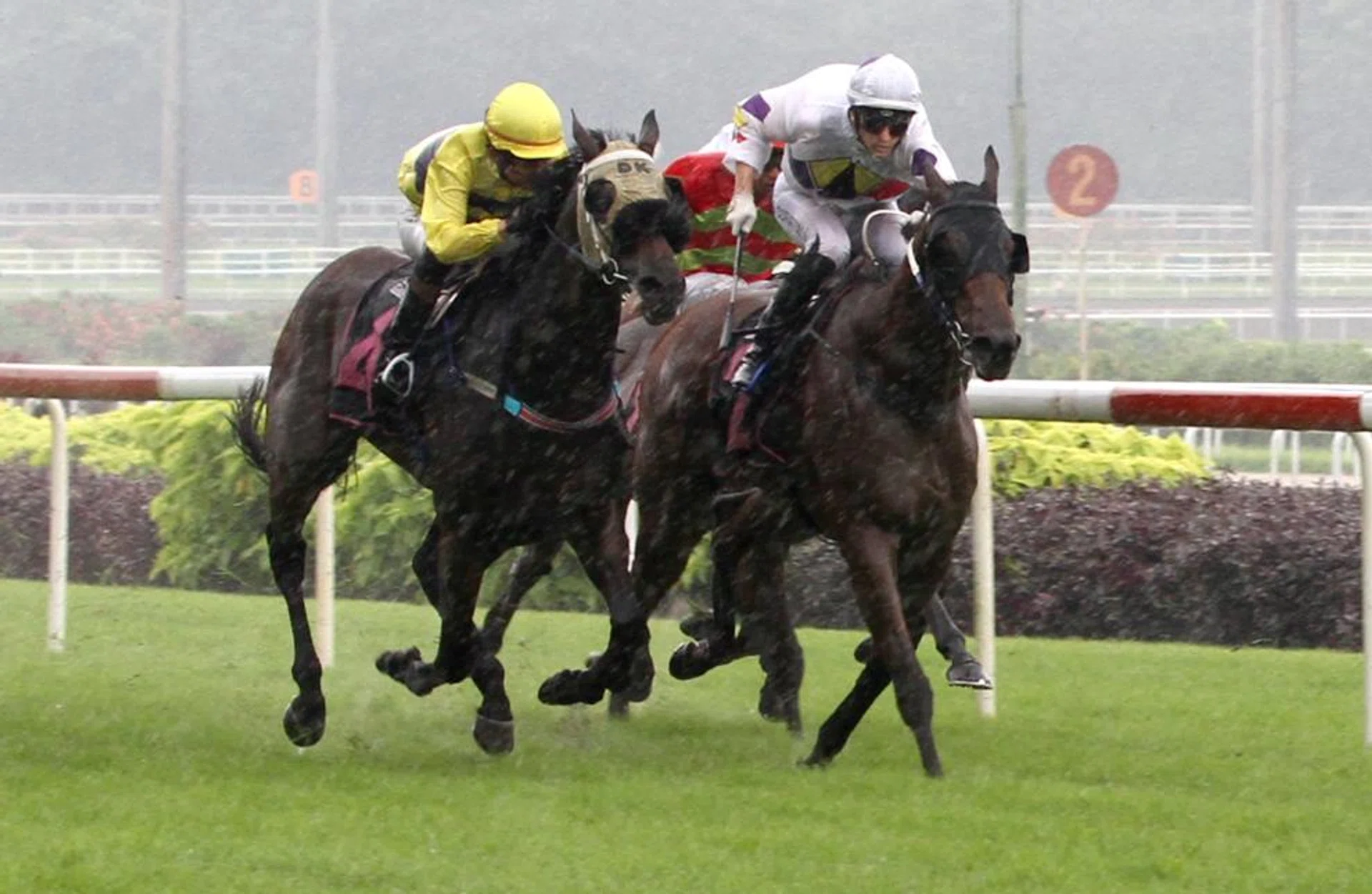 The Clyde Leck-ridden Smart One (No. 4) finishing fourth in a Class 5 1,400m event on May 12. The David Kok-trained galloper is coming to hand, evident by his eye-catching 34.7sec hitout over 600m on May 21.