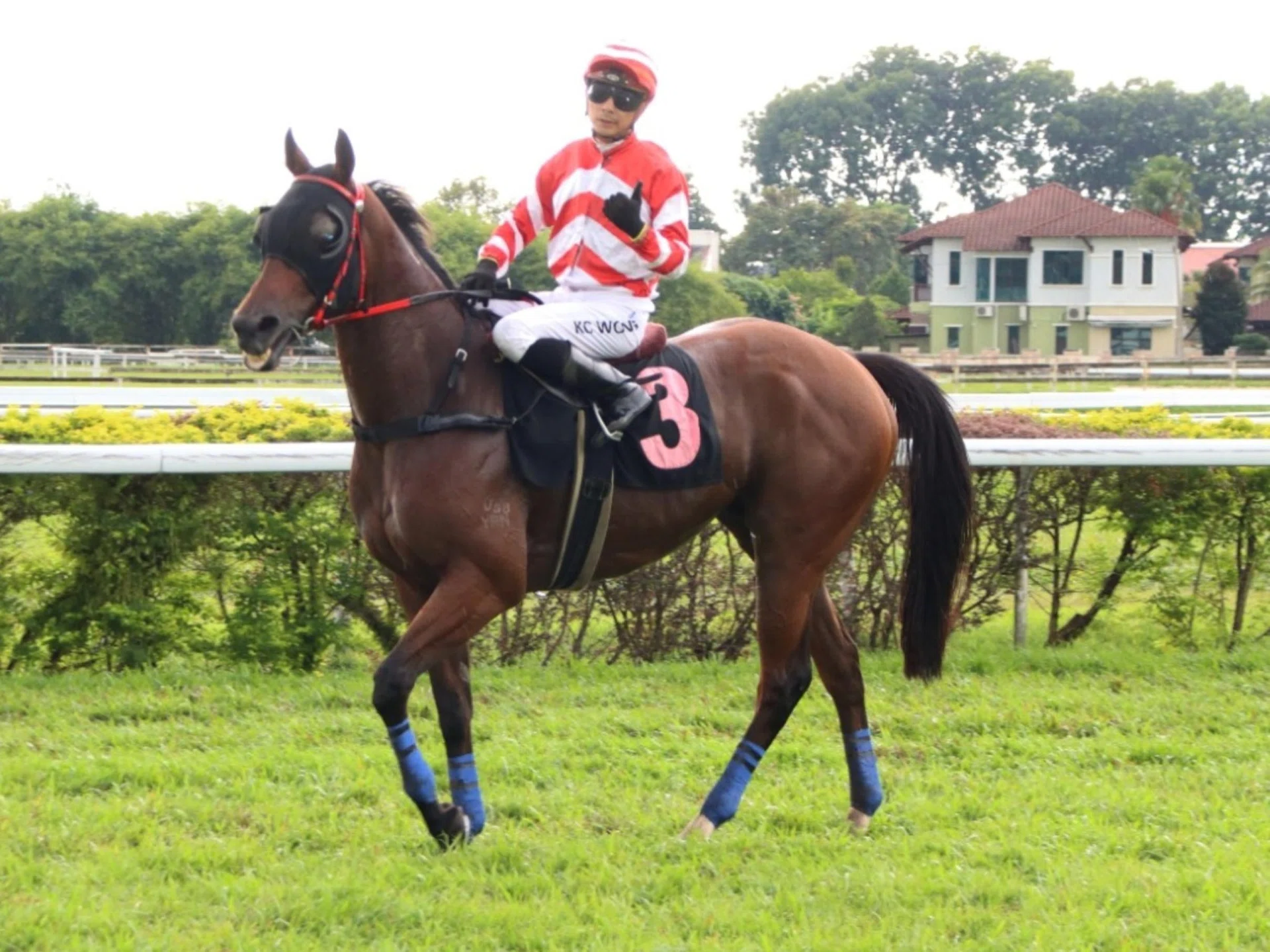 The Ismadi Ismail-trained Glorious Biscuit (Wong Kam Chong) returning to scale after taking out the Class 5A race (1,400m) in Ipoh on Oct 19.