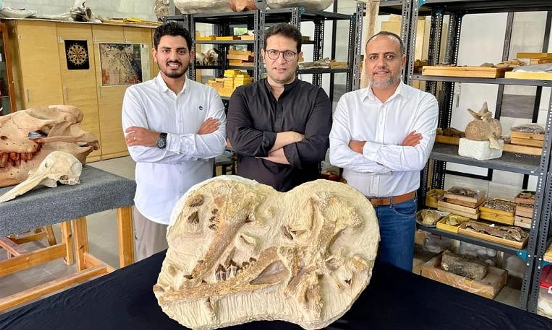 The Tutcetus is the smallest species so far, the oldest known whales that lived exclusively in the water.