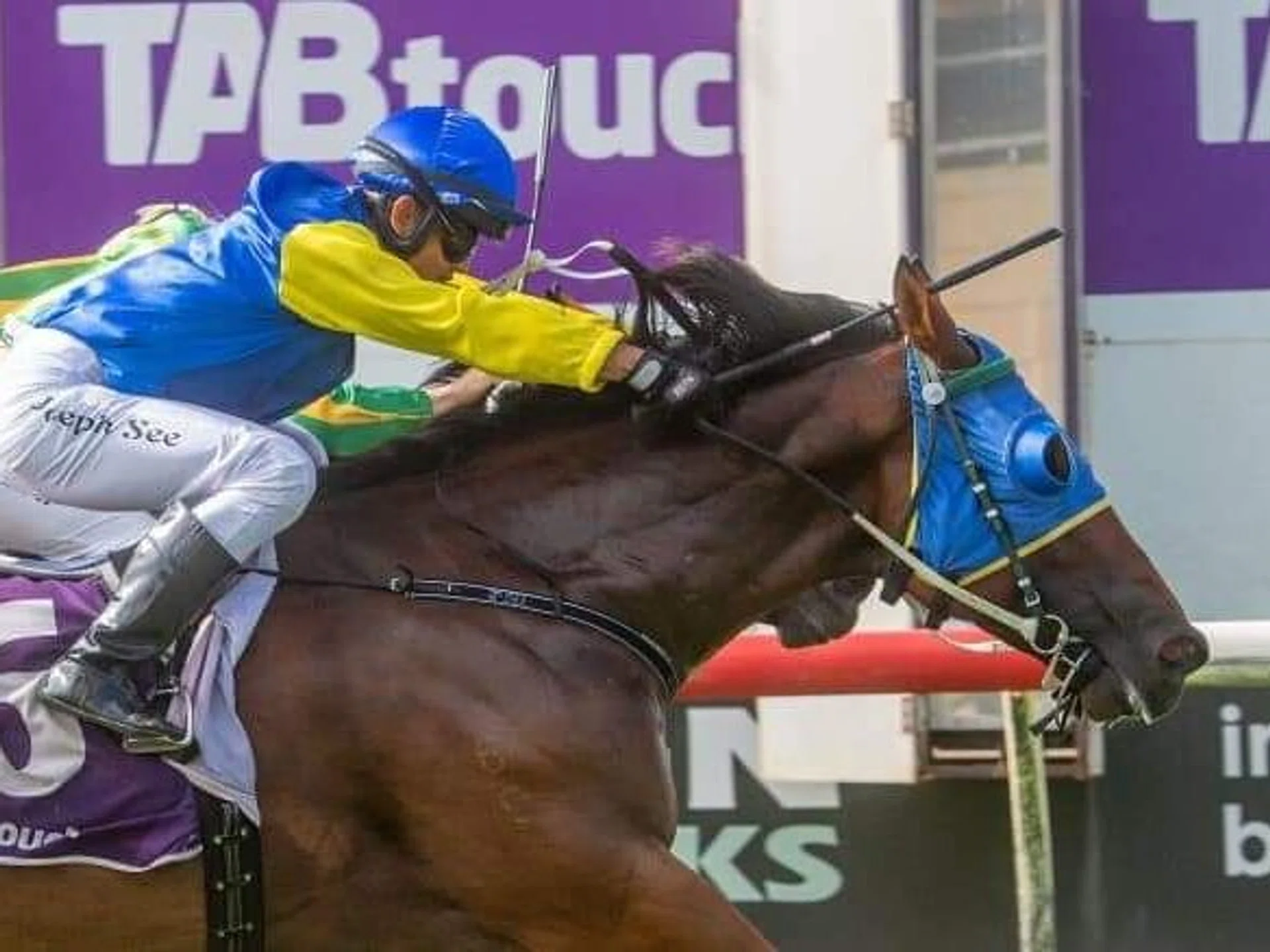 Singaporean jockey Joseph See steering the Ron Cowl-trained Navy Sun to a narrow win in Race 5 at Geraldton on Jan 13.
