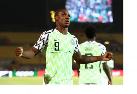 Ighalo could have same impact as Cantona, says Bosnich