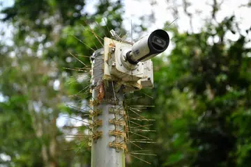 Rifle Range Road to get animal detection system in 2022