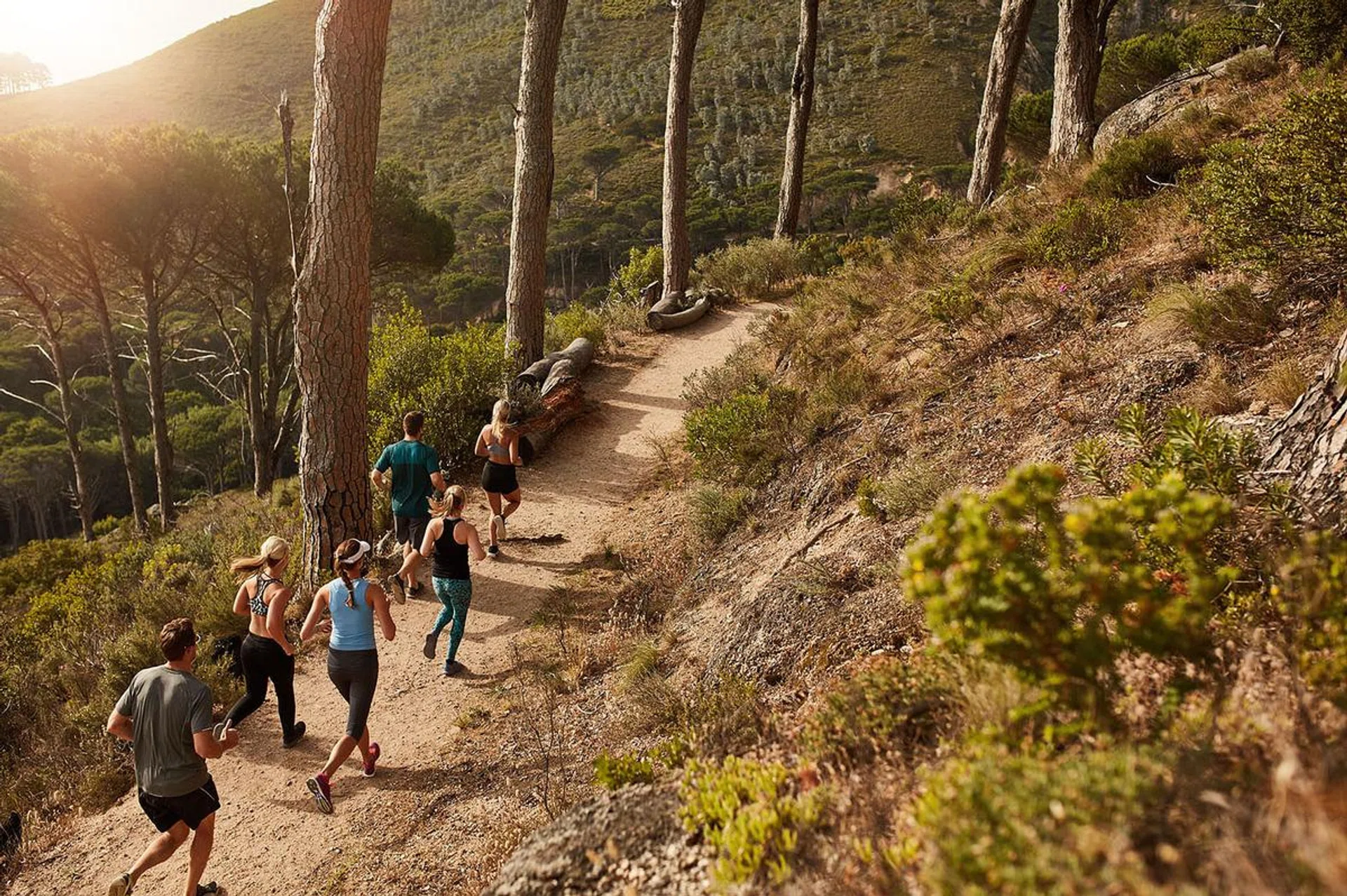 51078475 - group of young people trail running on a mountain path. runners working out in beautiful nature.