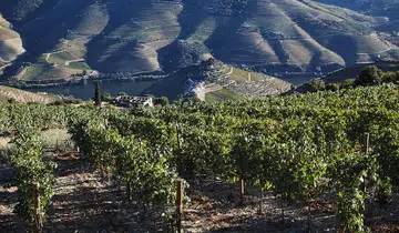 Portugal Duoro Valley