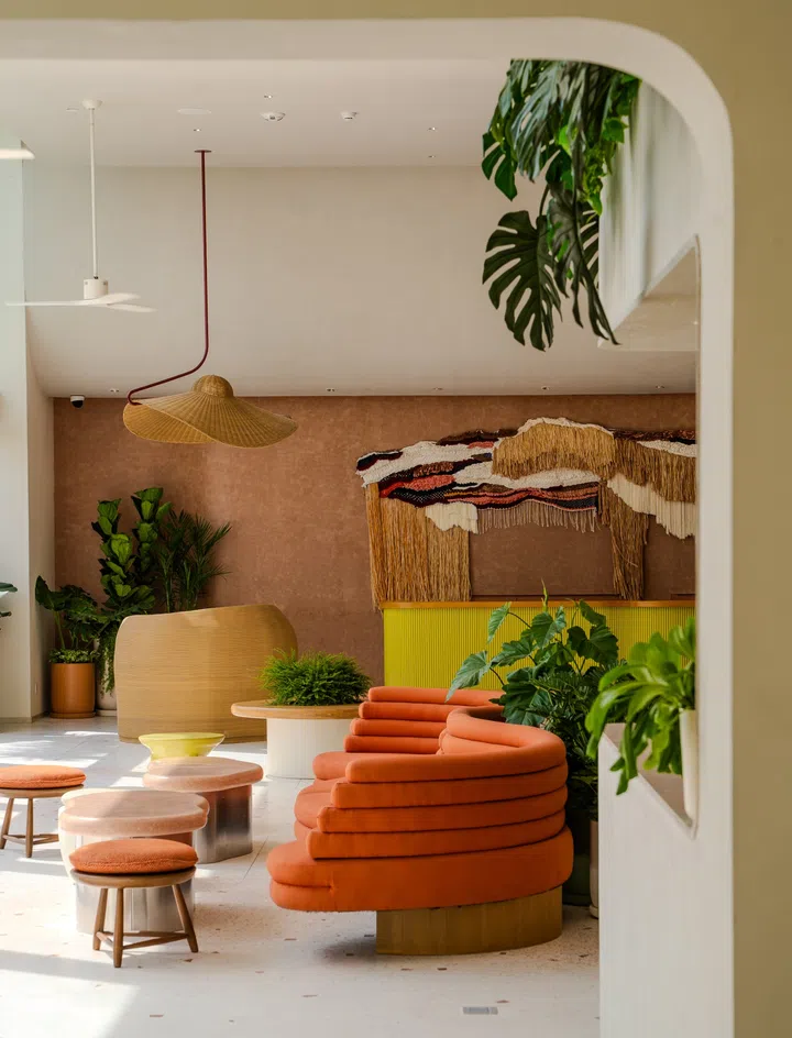 the standard pattaya