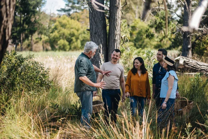 best tasmania farm experiences