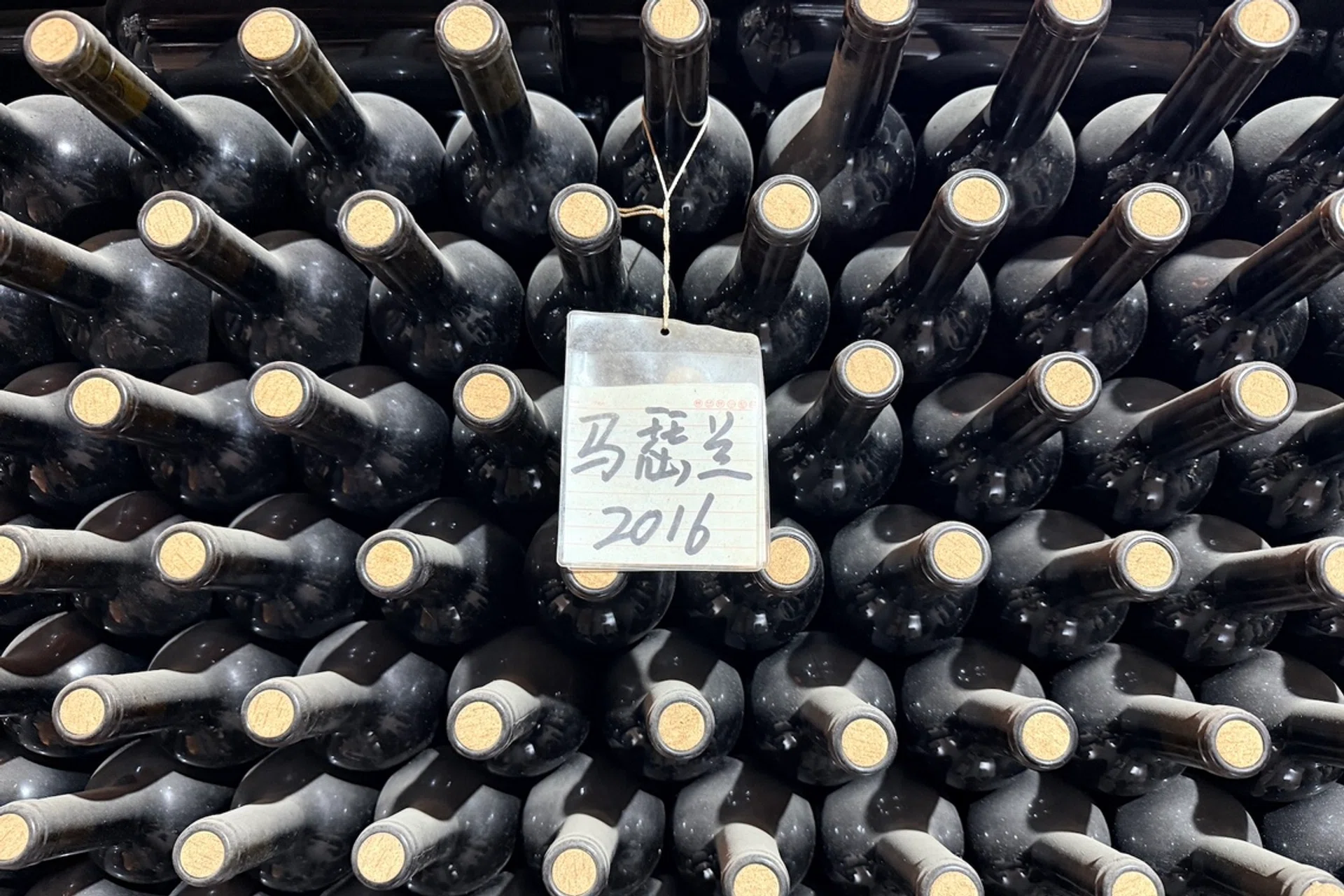 ningxia wines